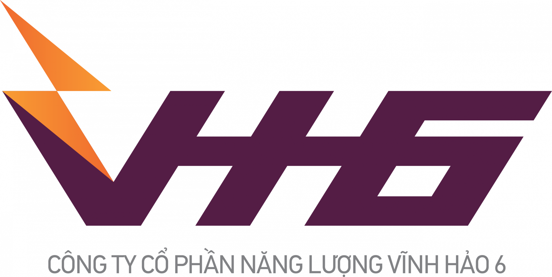 VINH HAO 6 POWER JSC