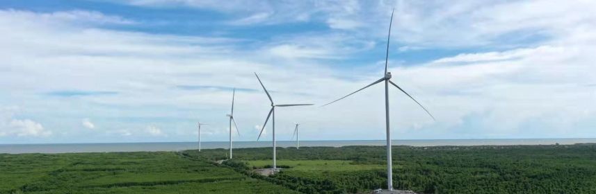 FECON phát hành thành công 32 triệu cổ phiếu riêng lẻ, tăng vốn điều lệ lên 1.574 tỷ đồng