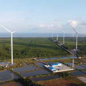 FECON Corporation Breakthrough into Renewable Energy Investment